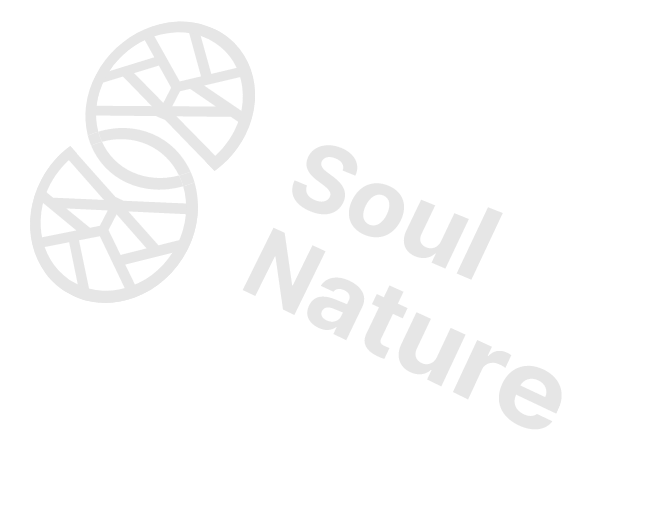 메인비주얼 사진